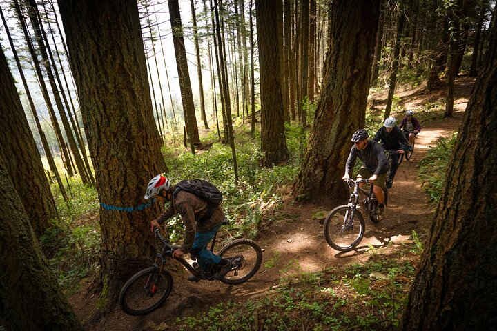 Mountain Bike Half-Day Private Tour  - Photo 1 of 6